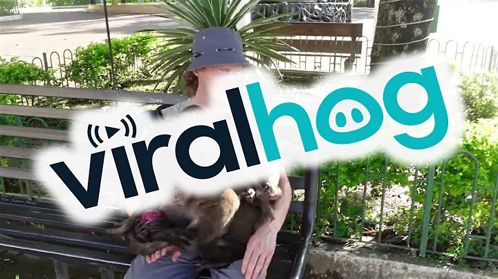 Man with Onion Attracts Monkeys || ViralHog