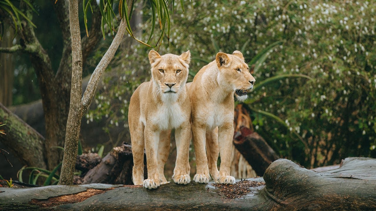 And that's a wrap...2021!