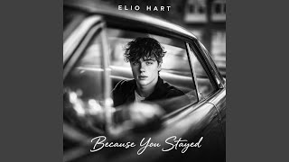 Download lagu Because You Stayed