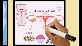 Introduction to Reproduction