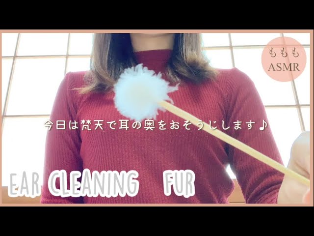 【ASMR】鼓膜まで届く梵天【ear cleaning】(#24)