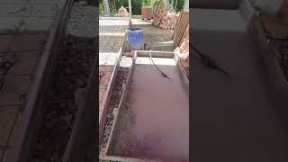 expat house build week 9 ,pour day tomorrow #buenavista #baybay