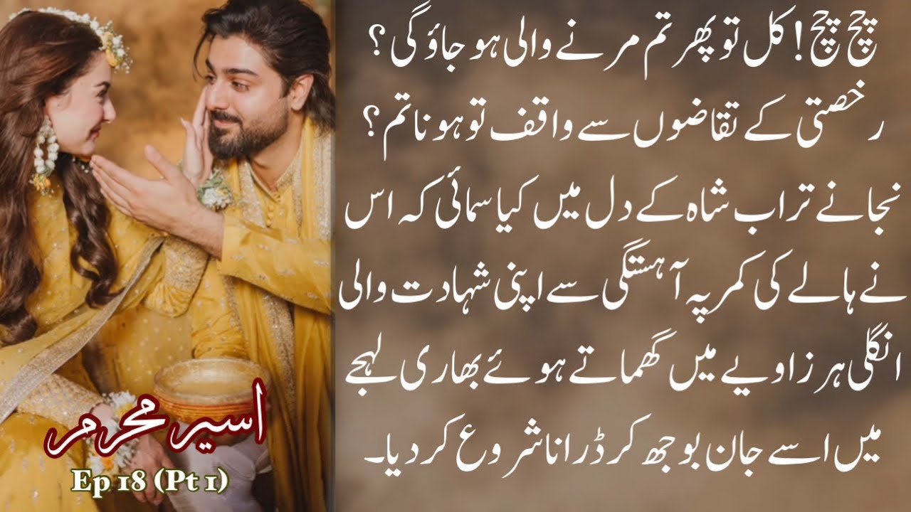 Turab is asking double meaning questions🙊🎀_Aseer e Mehram_Alishey Khan_Ep 18(pt 1)