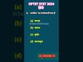 stet hindi 2024| uptet| jtet #uptethindi #stet #jtet #uptet