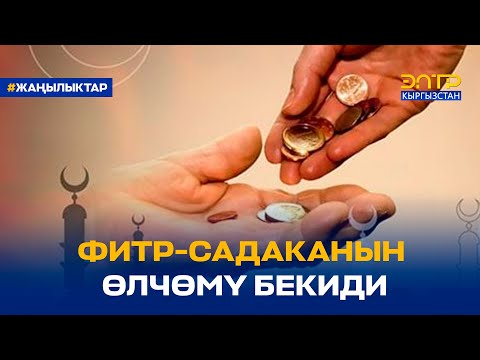 Video: Капчыктын өлчөмү кандай см?