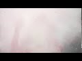 Indian Festival Holi Celebration Slowmotion