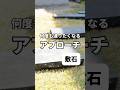 天然の玄武岩を使用した敷石！天然石ならではのラフな色合いと風合いがただ置くだけでも存在感を漂わせます！#エクステリア #ガーデニング #庭 #shorts