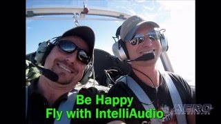 PS Engineering Inc. - 2016 Sun ’n Fun Innovation Preview