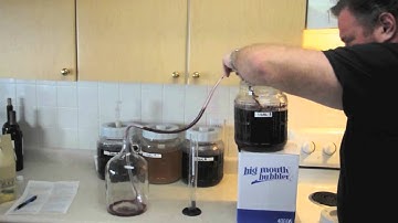 Autosyphon with Master Vintner Small Batch Merlot kit.
