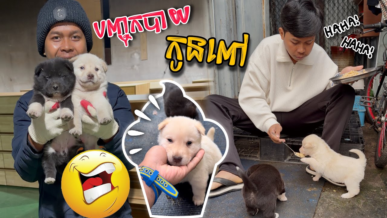 ម៉ោងបាយម្តងៗ សុទ្ធតែបញ្ចុក🔥😂ពូចិត្រFunny 