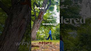 why does being in nature feel so good? #nature #psychology #film