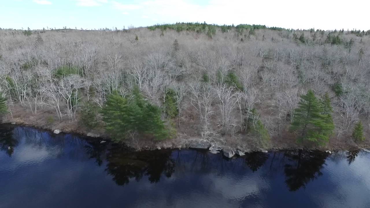 Mill Lake April 2016 Teil3 YouTube