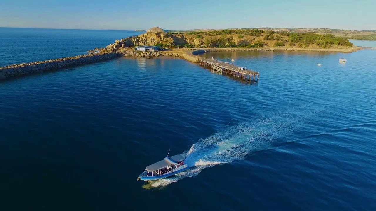 The Big Duck Tours | Big Duck Boat Tours | Experience Oz