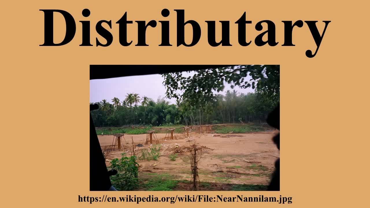 Distributary