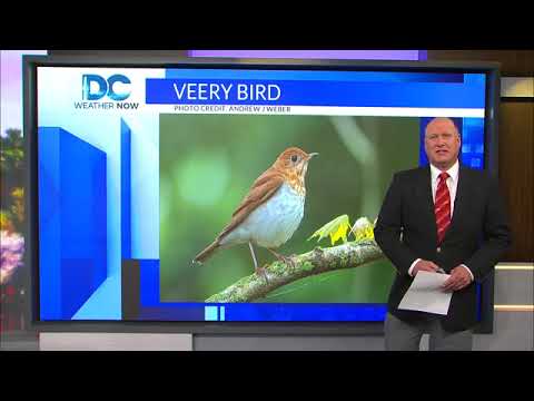 Weather Team Predicts The UNPREDICTABLE!