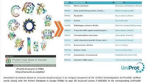 Protein Structures and their features in UniProtKB