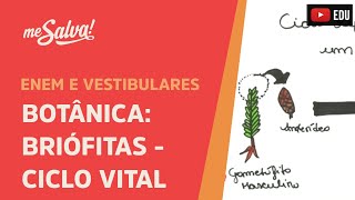 Me Salva! BOT04 - Botânica - Briofitas: ciclo vital Me Salva! BOT04 - Botânica - Briofitas: ciclo vital