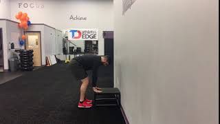 Matthew Ibrahim | Hands Supported Alternating Reverse Lunge w/ 1-Arm Overhead Reach