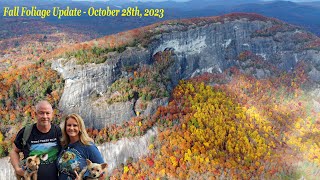AMAZING Fall Color Report - October 28th, 2023 (MUST WATCH!!) Guide