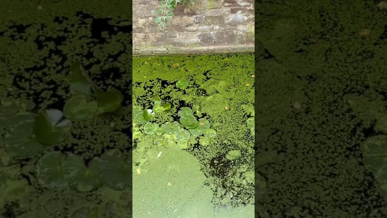 Hidden Places in Brussels