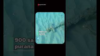 Real Life Crusader Sword Found in Israel! (Full Story) #shorts