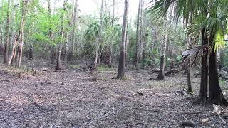 Camcorder Filming Behind Me While Collecting My Two Game Cameras