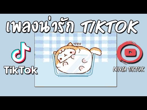 เพลงดังในtiktok ฟินที่สุดเลย เพลงฮิตในtiktok2022 เพลงดังในติ๊กต๊อก รวมเพลงในtiktok เพลงใหม่2022