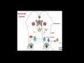 15. Quick Reviews: Neuro Ophthalmology (Eye Movements)