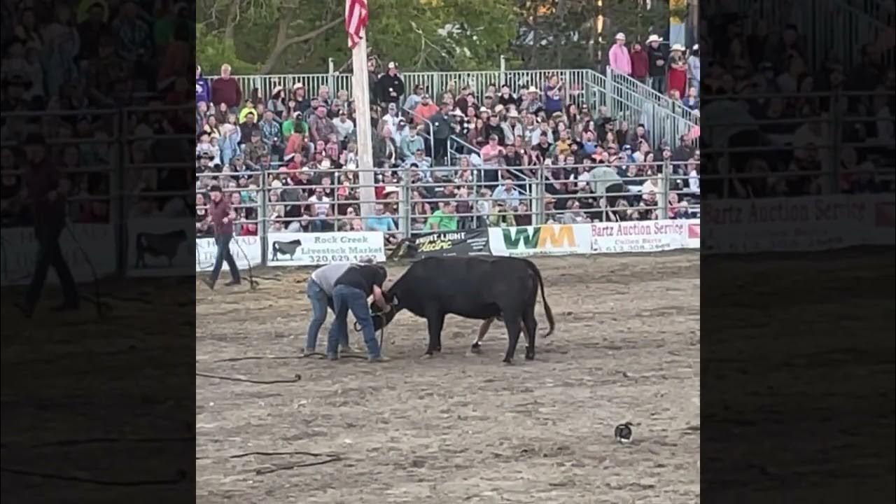 Pine City Rodeo 2022 YouTube