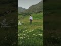 Əgər bir şeyi xəyal edə bilirsənsə, deməli həyat sənə onu gətirəcək.çünki Həyat nağıl kimidir: