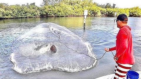 Once in a LIFETIME catch in a HUGE NET!! (CATCH CLEAN & COOK)