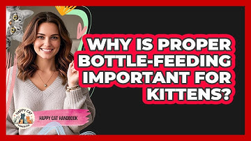 Why Is Proper Bottle-feeding Important For Kittens? - Happy Cat Handbook
