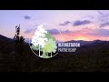 30 Years of Reforestation Success