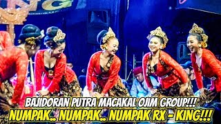 NUMPAK.. NUMPAK.. NUMPAK RX - KING❗️❗️❗️ BAJIDORAN PUTRA MACAKAL| OJIM GROUP BANDUNG