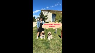 Temecula Dog Friendly Wineries