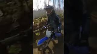 Motorcycle meets bear in Alaska