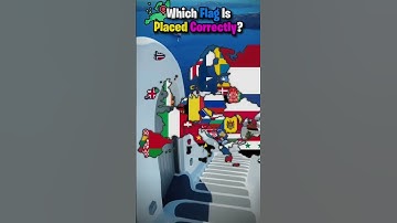 Which flag is placed correctly?#country #shorts #viral