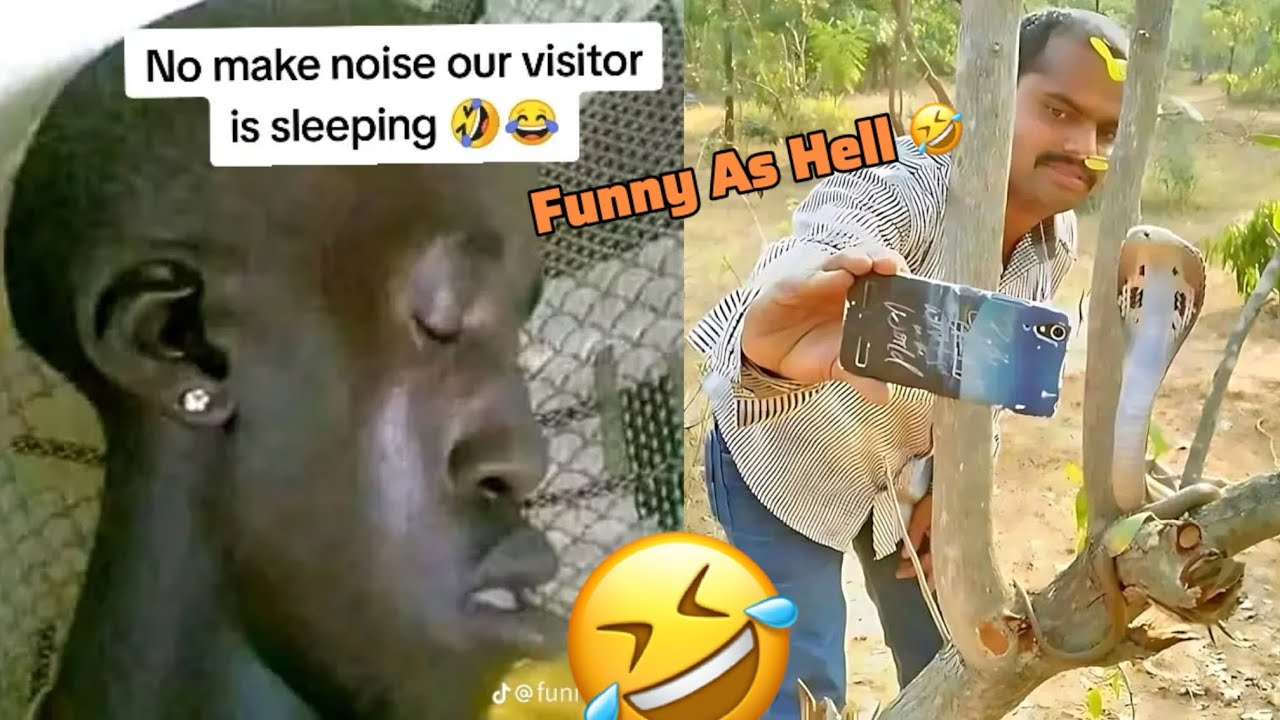 Most Funniest Videos Around The Globe//Try Not To laugh Extreme Challenge 