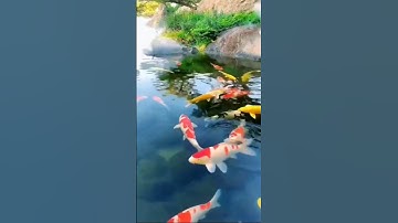 أرح سمعك 15 ثاني بذكر الله 🌺 تلاوة تطمئن لها القلوب 🍂 قران أقل من دقيقة 🌛