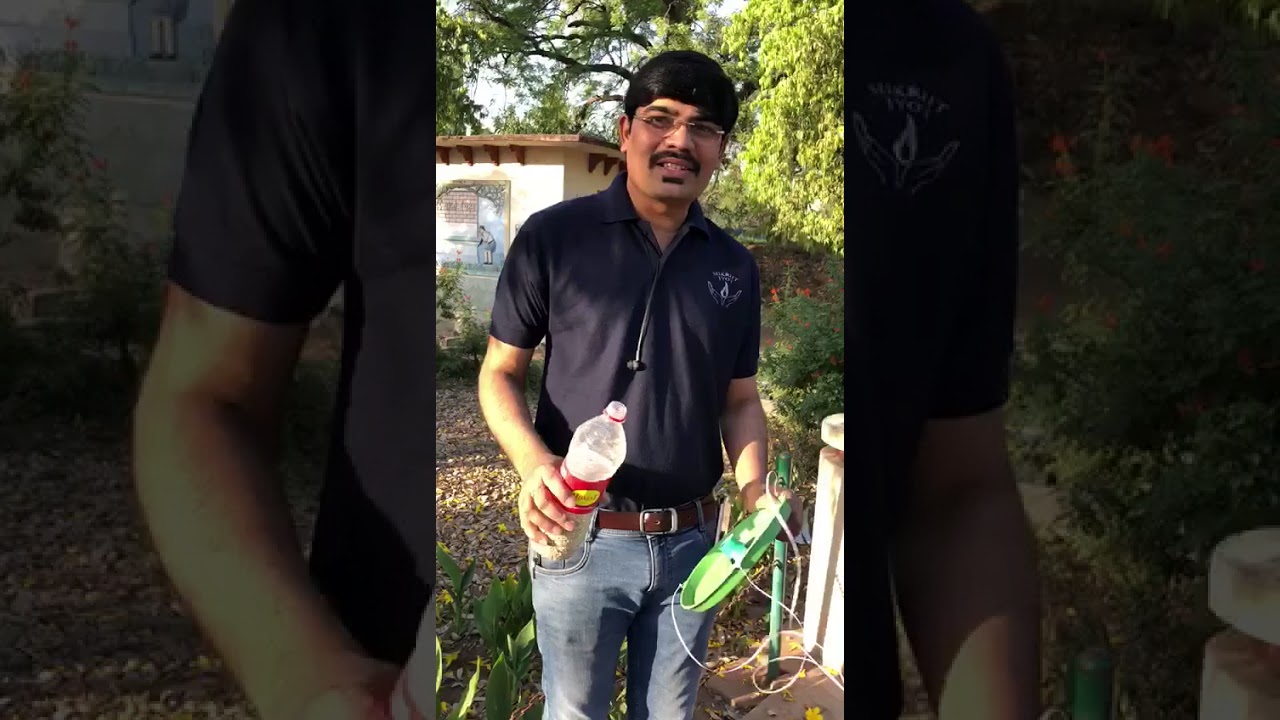 Birds Care @ Feeder Dish