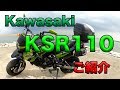 【Kawasaki KSR110 ご紹介】空波鳥十番勝負（番外編）