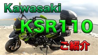 【Kawasaki KSR110 ご紹介】空波鳥十番勝負（番外編）