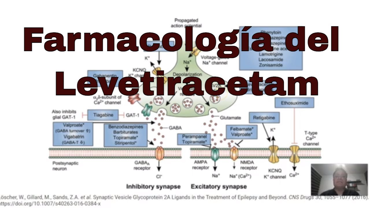 Farmacología del levetiracetam. Antiepilépticos