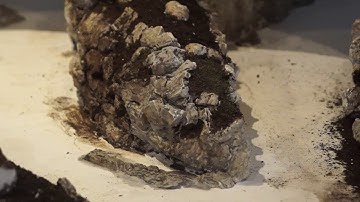 Gouldian Junction Building river scene part 1