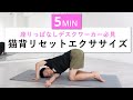【5分習慣】首・肩のこりを引き起こす猫背のリセットエクササイズ!(デスクワーク・悪い姿勢改善)