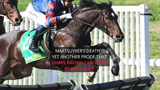 R.I.P. Maatsuyker. First Horse Killed in the 2025 Jumps Racing Season in Victoria