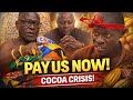Offinsohene FIRES Gov T Tells Minority To FIGHT For Cocoa Farmers 