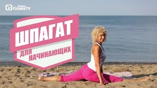 Шпагат для начинающих. Восстановление/ День 14 / A Split For Beginners / Day 14 Шпагат для начинающих. Восстановление/ День 14 / A Split For Beginners / Day 14