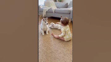 I got my first loop #ai  #aivideo  #shrots #shortvideo #usethisaudio #sound