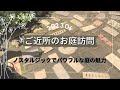 ノスタルジックでパワフルなご近所さんのお庭訪問